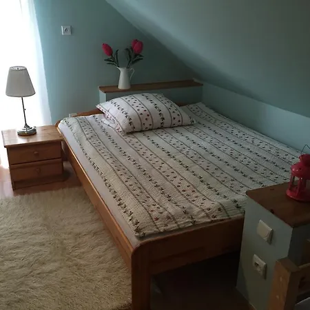 Alojamento de Turismo Rural Letnisko Lazy Male