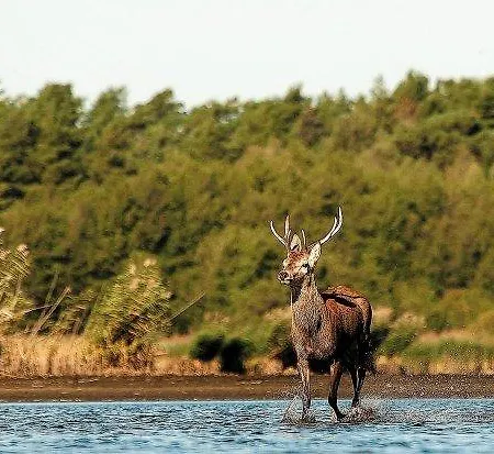 Letnisko Lazy Male